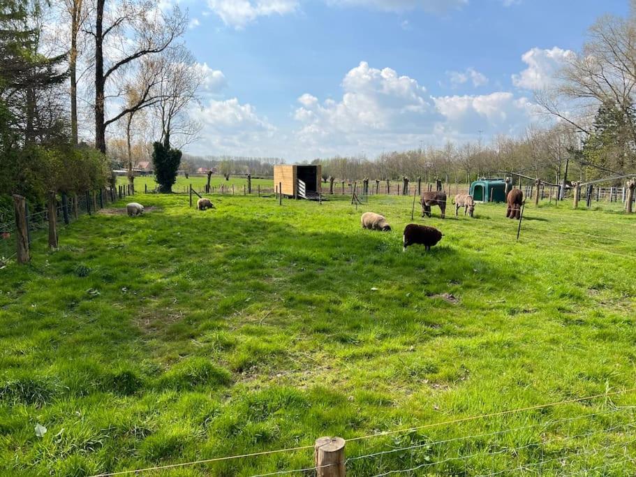 Hoeve Hooierzele Waasmunster Exterior foto